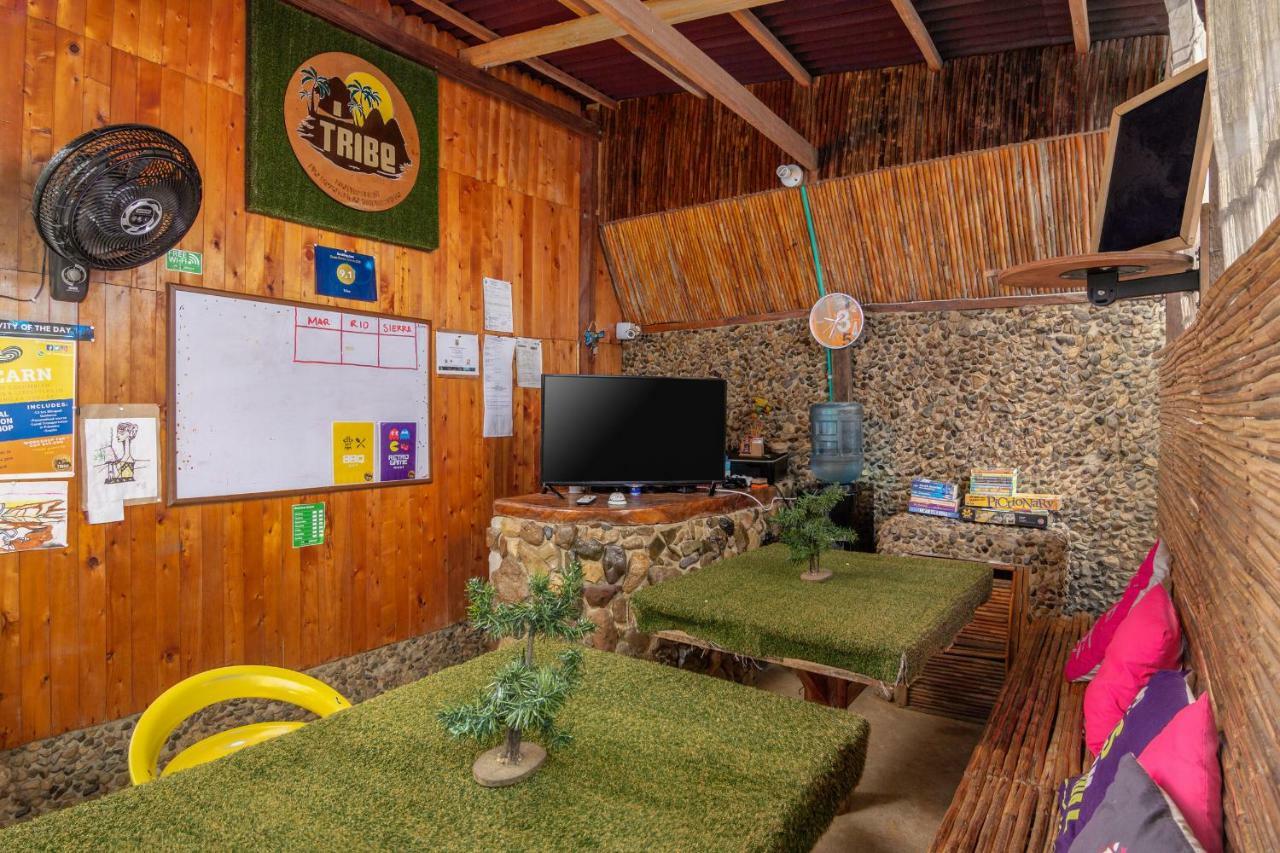 Tribe Palomino Exterior foto